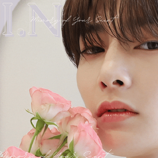 Today's Most Loved I.N (Stray Kids)