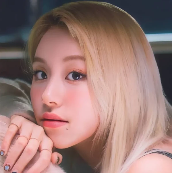 TWICE 팬심 가득한 인기 사진