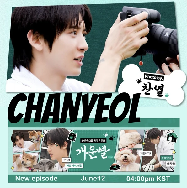 Fans' Pick: Best Moment of Chanyeol (EXO)