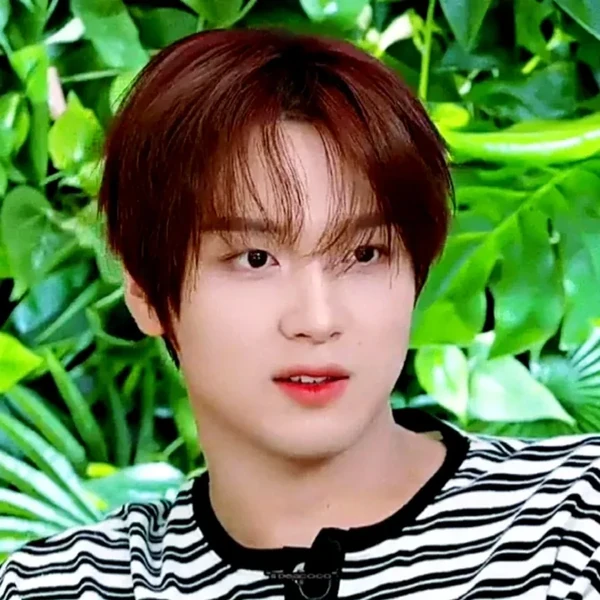 充满粉丝爱意的楷灿 (NCT 127, NCT DREAM)人气照片