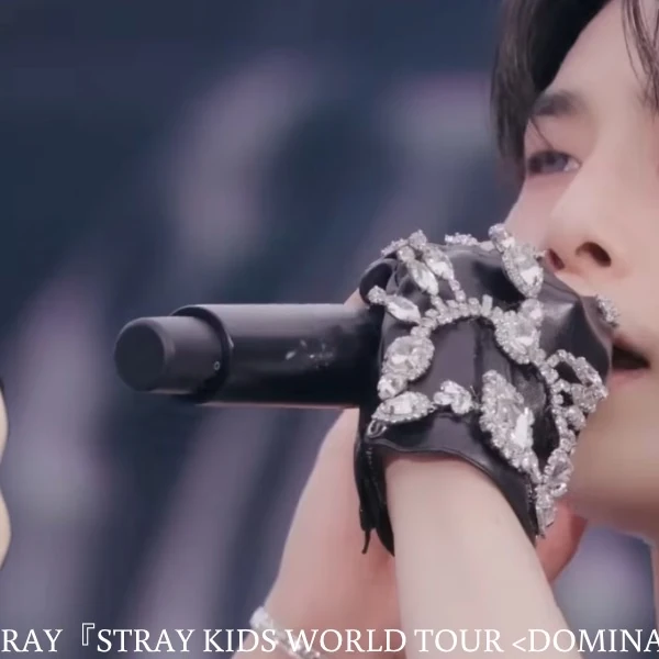 Fans' Pick: Best Moment of I.N (Stray Kids)