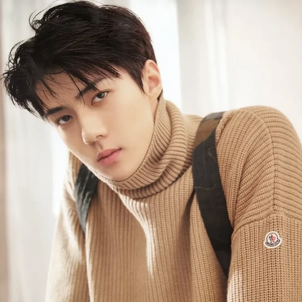 세훈 (EXO) 팬심 가득한 인기 사진