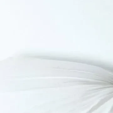 粉絲票選的崔傘 (ATEEZ)最佳瞬間