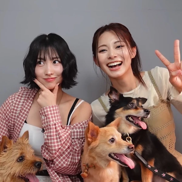 充滿粉絲愛意的Momo (TWICE)人氣照片