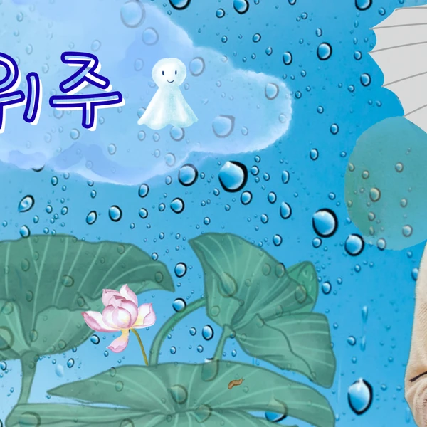 의주 (앤팀) 팬심 가득한 인기 사진