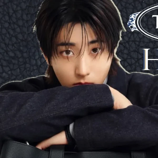 Fans' Pick: Best Moment of HAN (Stray Kids)