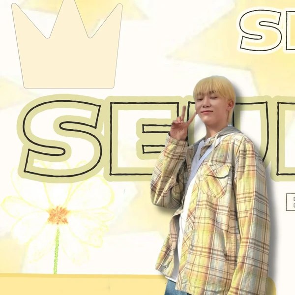 充滿粉絲愛意的SEVENTEEN人氣照片