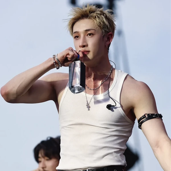 Top Photo Full of Bang Chan (Stray Kids) Love