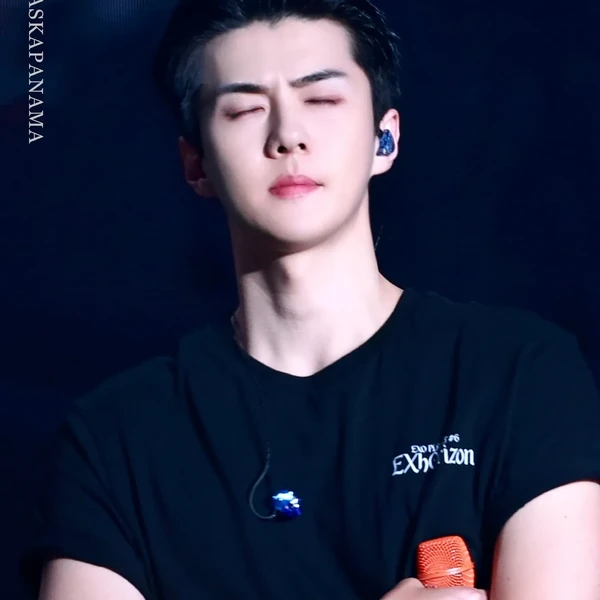 세훈 (EXO) 팬심 가득한 인기 사진