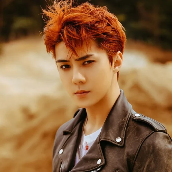 Momen Terbaik Sehun (EXO) Pilihan Penggemar
