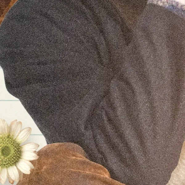 rankingBanner