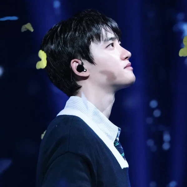 디오 (EXO) 팬심 가득한 인기 사진