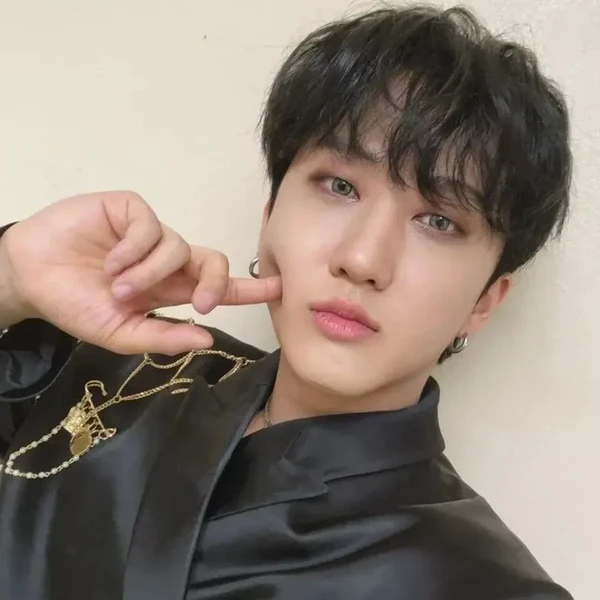 今日最も愛されたチャンビン (Stray Kids)の姿