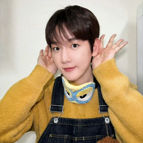 粉絲票選的伯賢 (EXO)最佳瞬間
