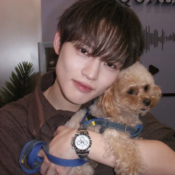 Fans' Pick: Best Moment of Chenle (NCT DREAM)