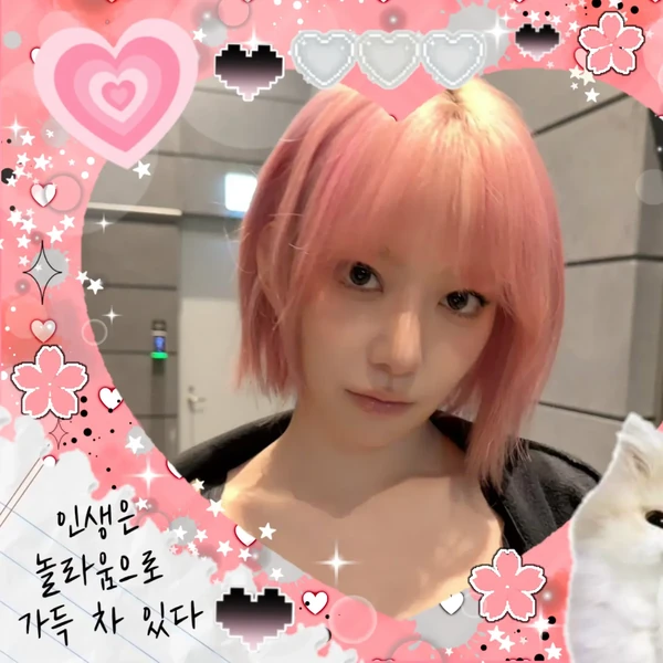Top Photo Full of Sakura (LE SSERAFIM) Love