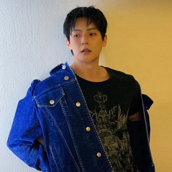 Fans' Pick: Best Moment of Lee Minhyuk (BTOB)