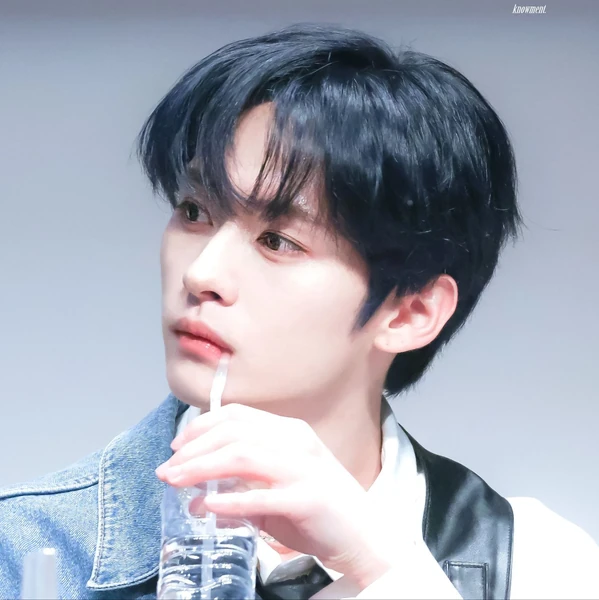 Fans' Pick: Best Moment of Lee Know (Stray Kids)