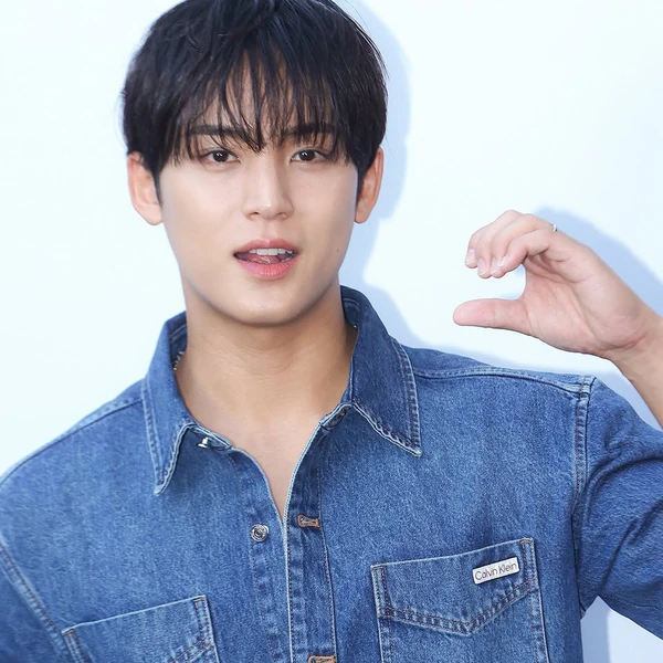 Today's Most Loved Mingyu (SEVENTEEN)