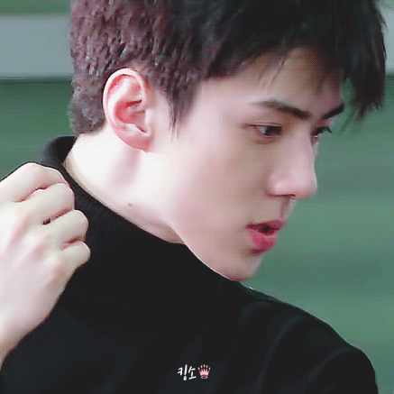 세훈 (EXO) 팬심 가득한 인기 사진