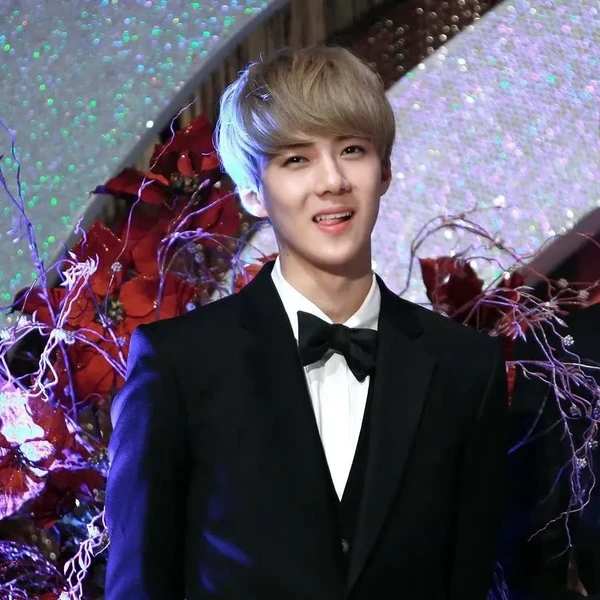 세훈 (EXO) 팬심 가득한 인기 사진